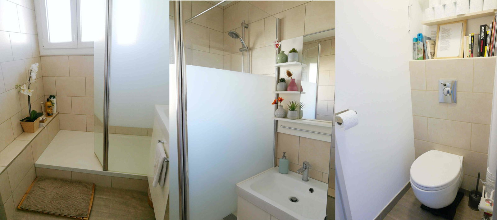 Colocation Toulon 263698
