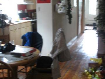 Colocation Philadelphia 288612-7