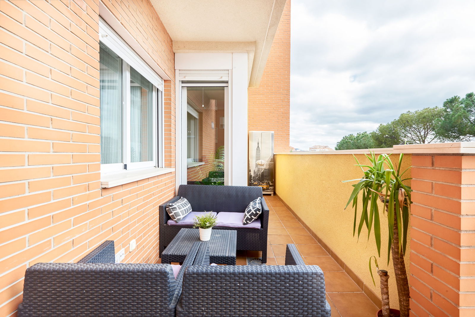 Homestay Murcia 415886