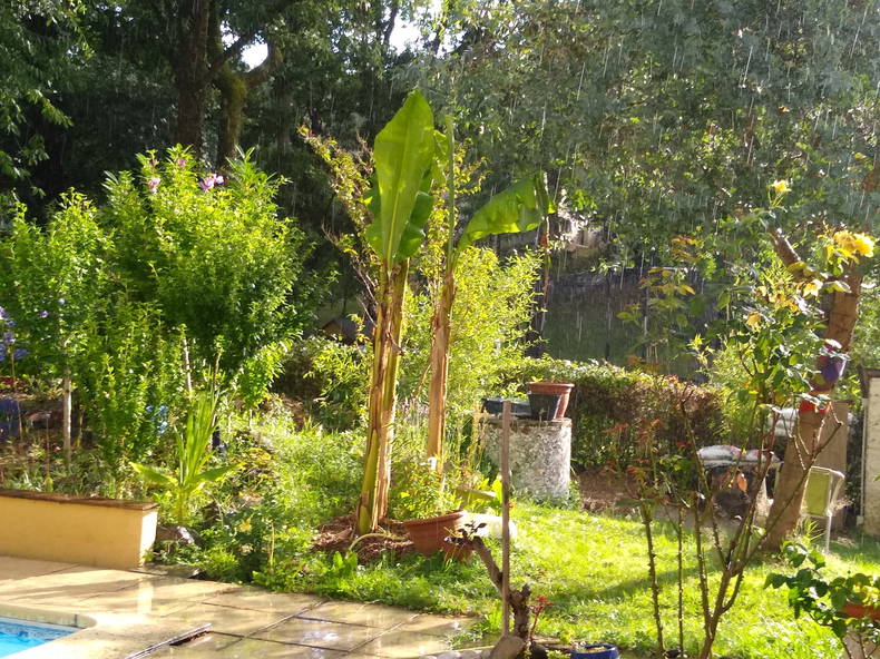 Homestay Castelnau-d'Estrétefonds 210977-5