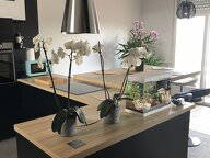 Chambre Chez L'habitant Carcassonne 519042-2