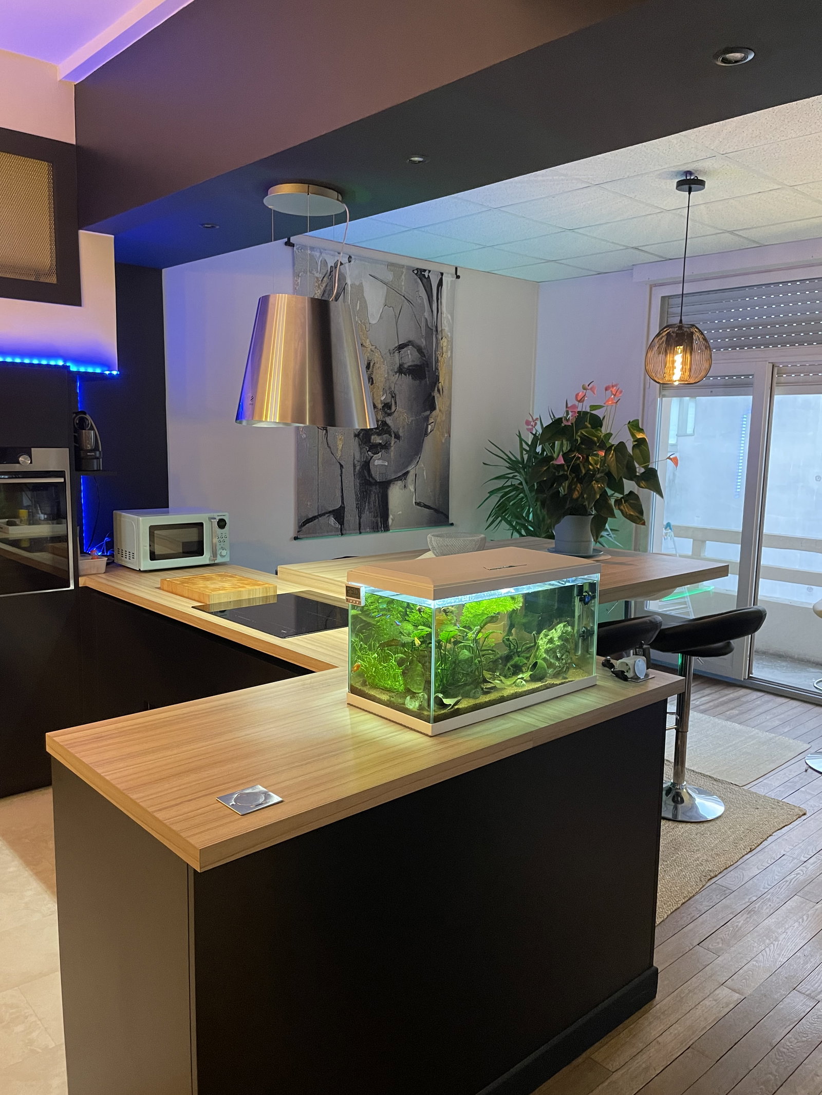 Homestay Carcassonne 519042