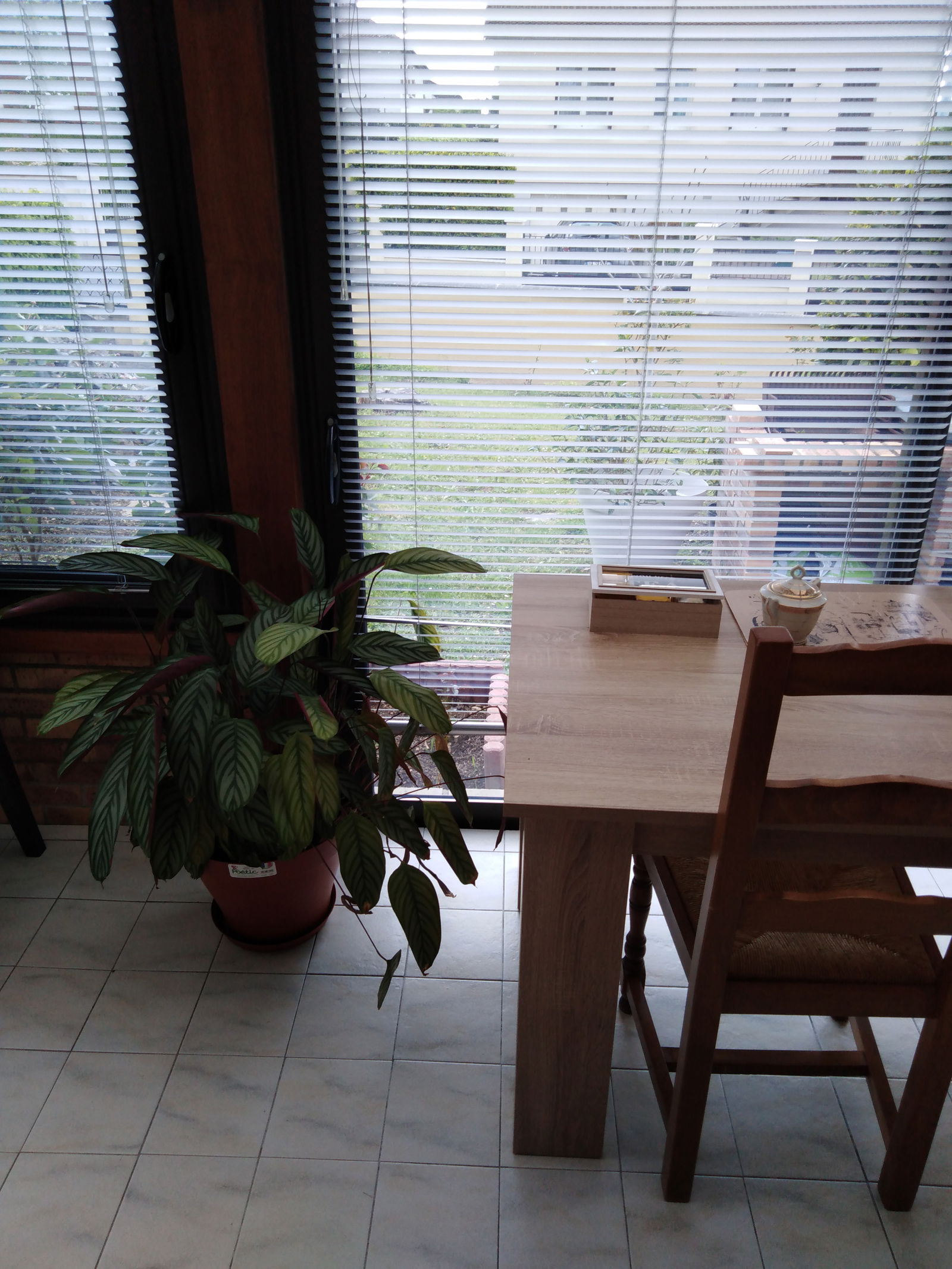 Homestay Bourges 193073