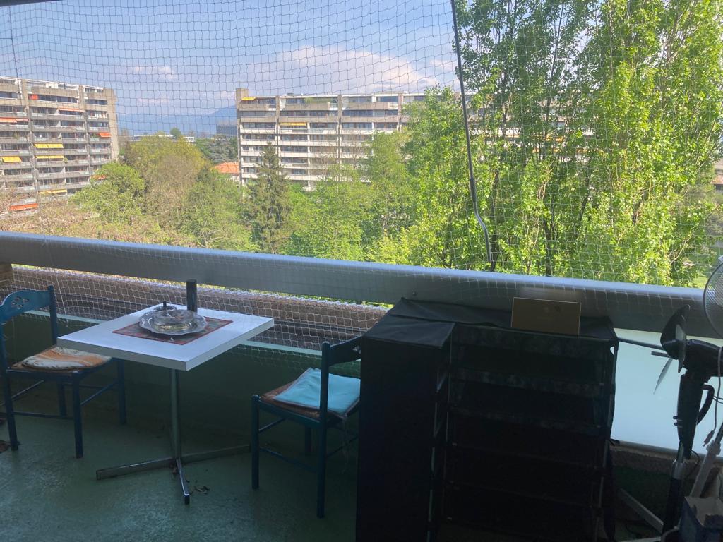 Colocation Genève 262058