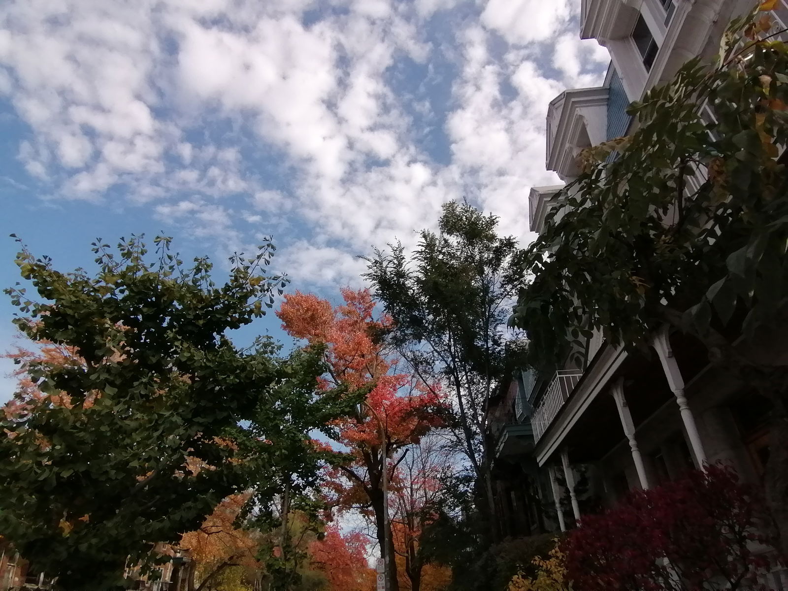 Homestay Montréal 246849