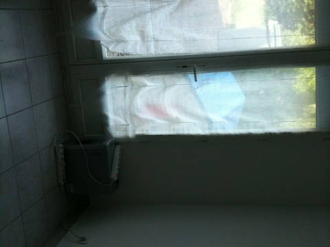 Gastfamilie Antony 55358-4