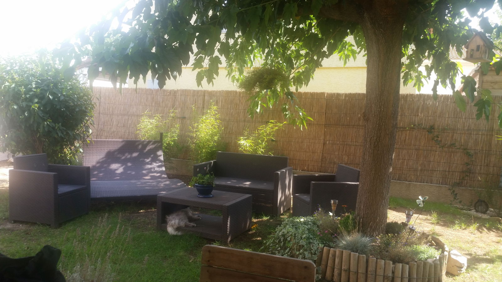 Colocation Pérols 221097