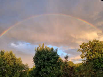 Shared Accommodation Carrières-Sous-Poissy 267034-25