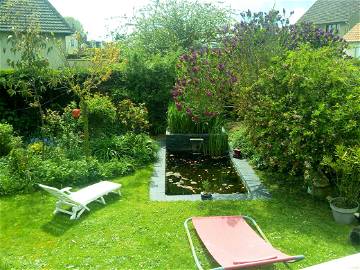 Room For Rent Langrune-Sur-Mer 201343