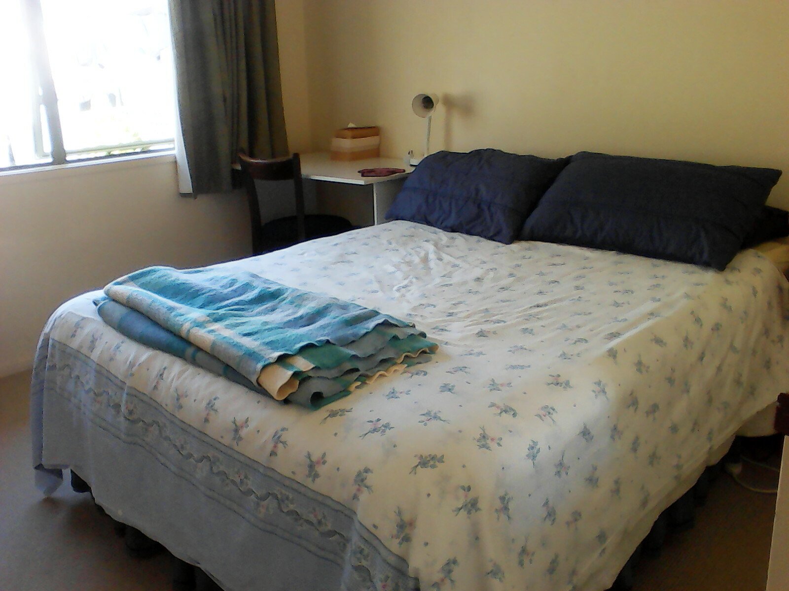 Homestay Hamilton 220523