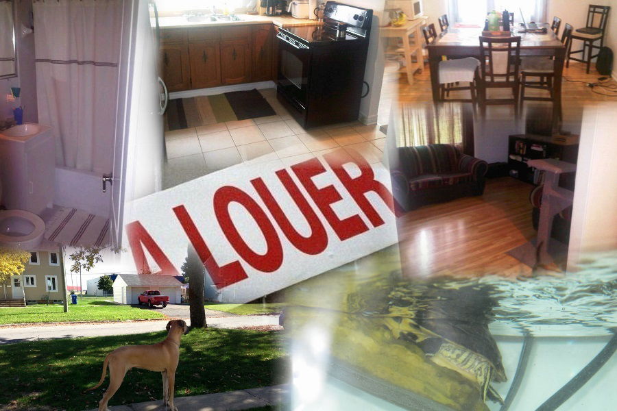 Homestay Saint-Hubert 33010