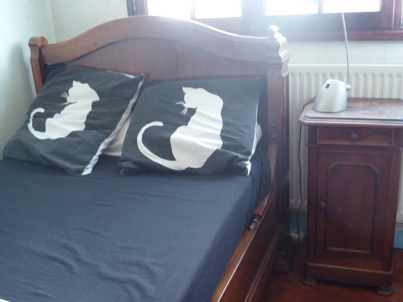 Chambre Chez L'habitant Meyzieu 12746-1