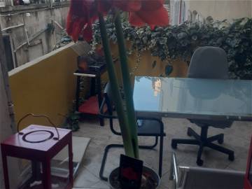 Room For Rent Marseille 392264-1
