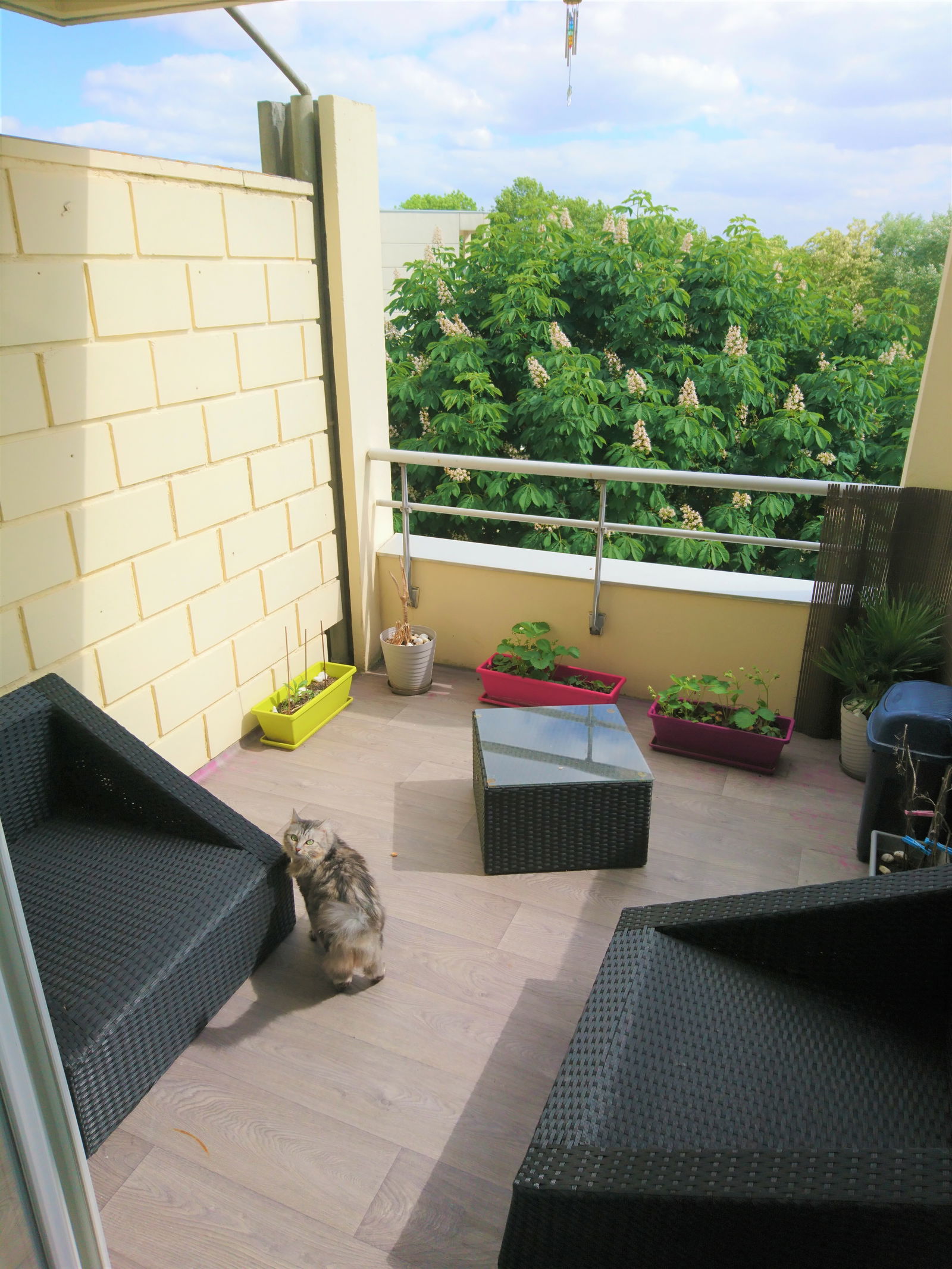 Homestay Torcy 202448