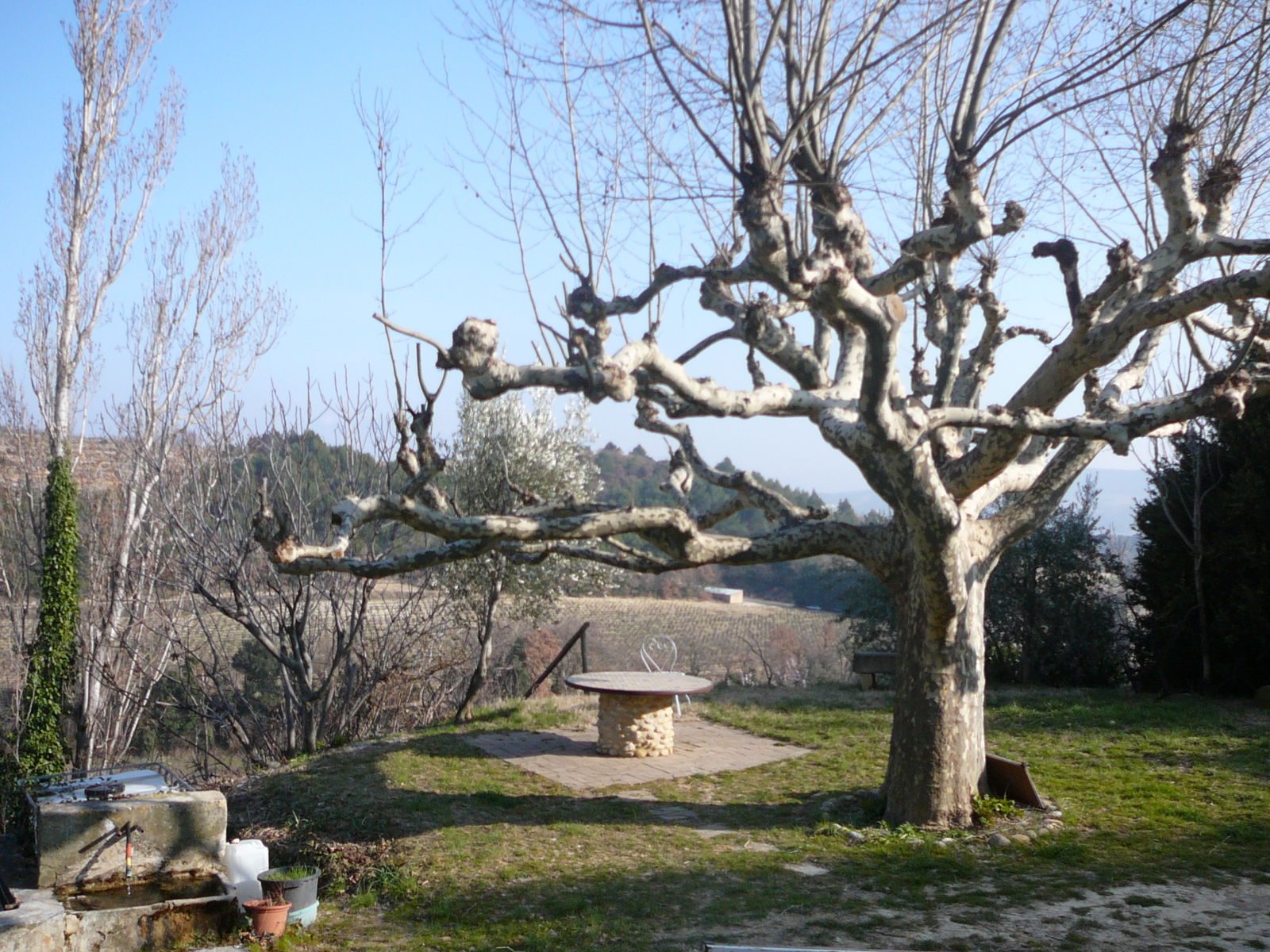 Homestay Visan 81652