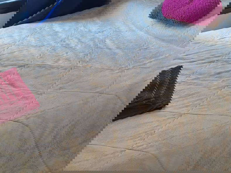 Quedarse En Casa Fuengirola 334072-1