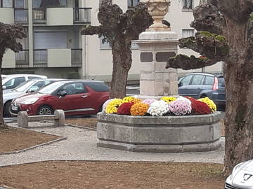 Gastgezin Vesoul 240986-5