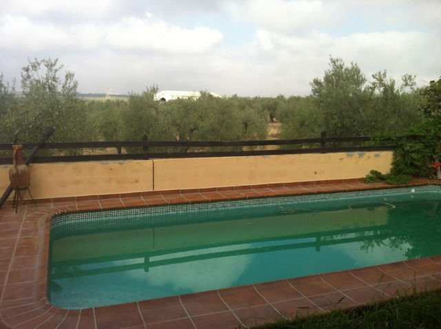 Homestay Sevilla 32849