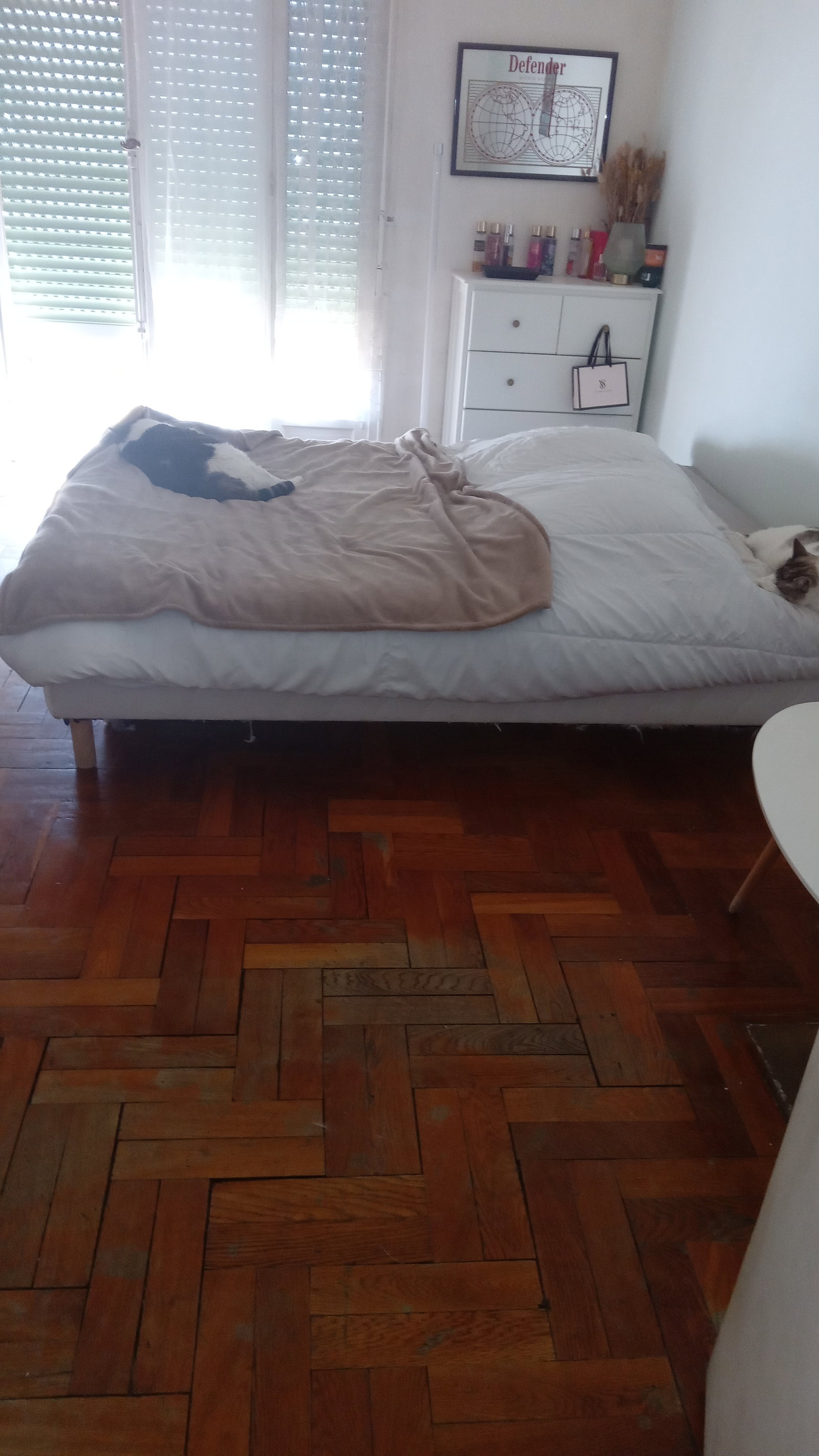 Homestay Nice 266078