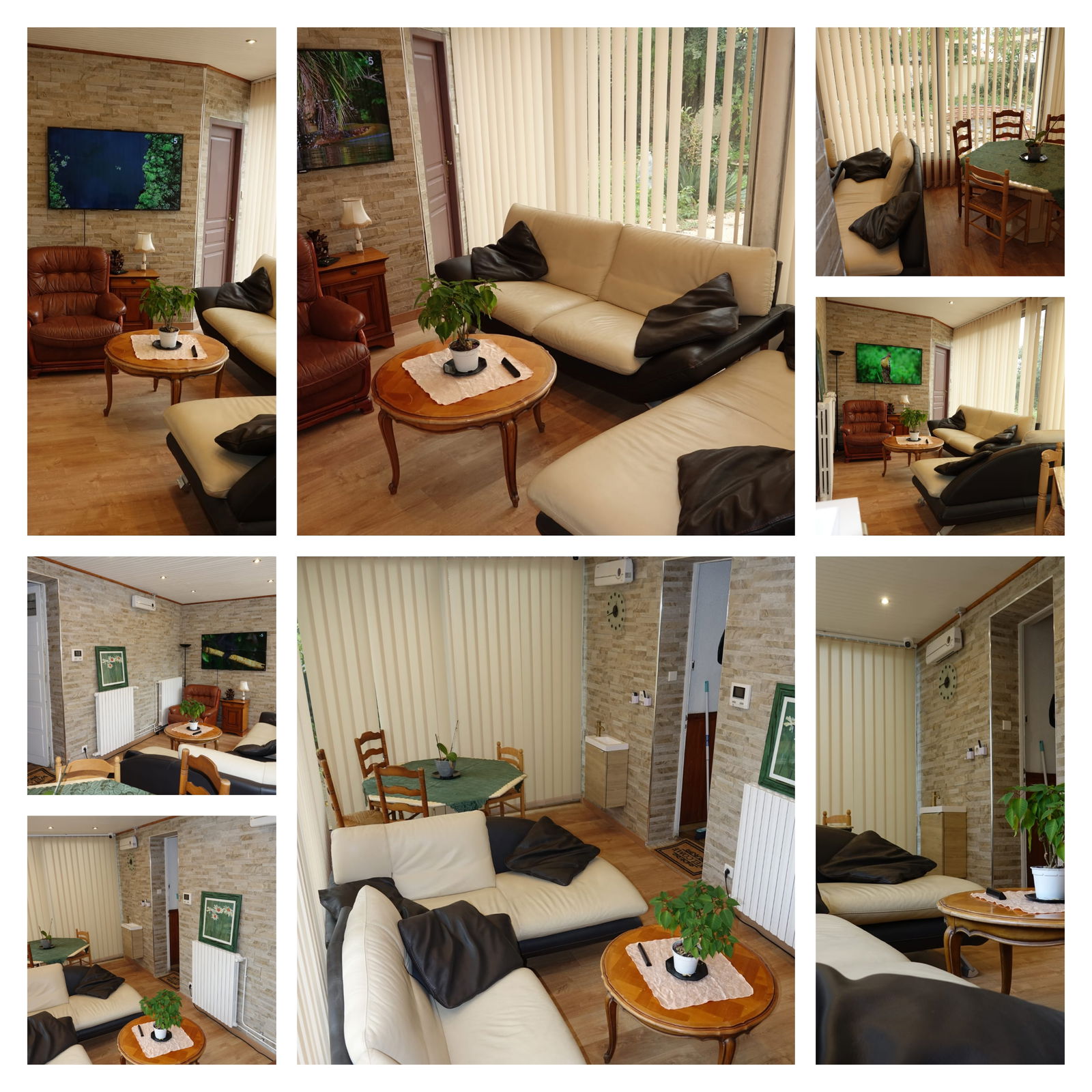 Colocation Tournefeuille 242582