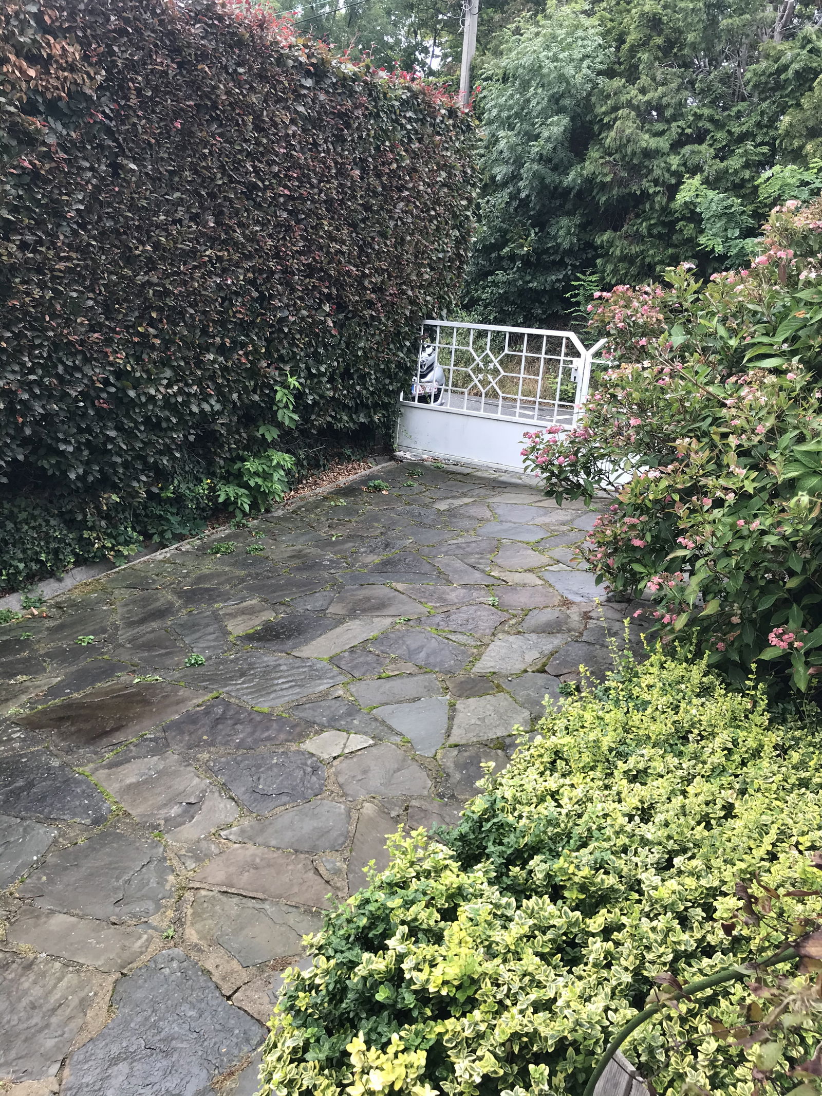 Homestay Chaudfontaine 241477