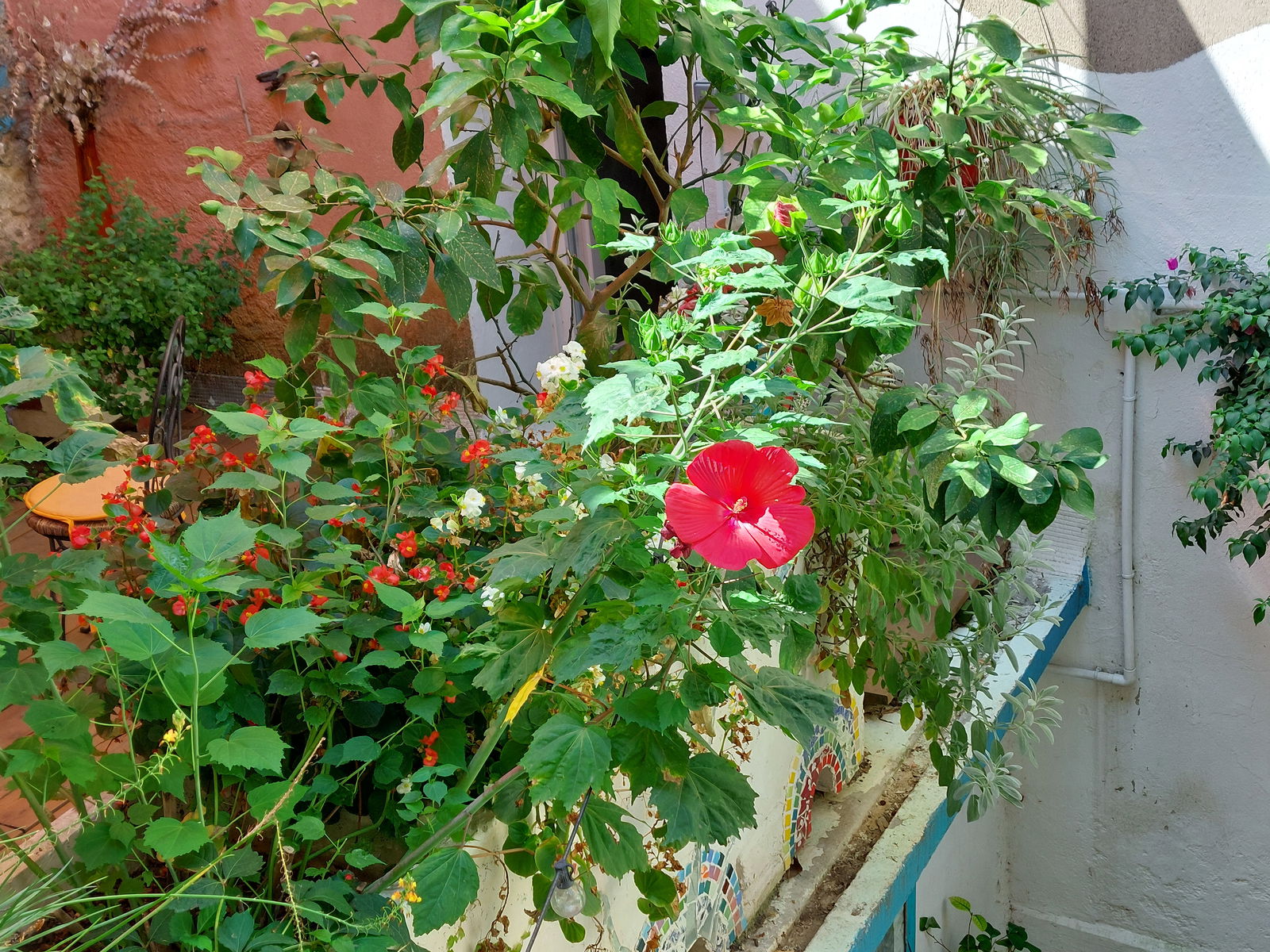 Homestay Bize-Minervois 596267