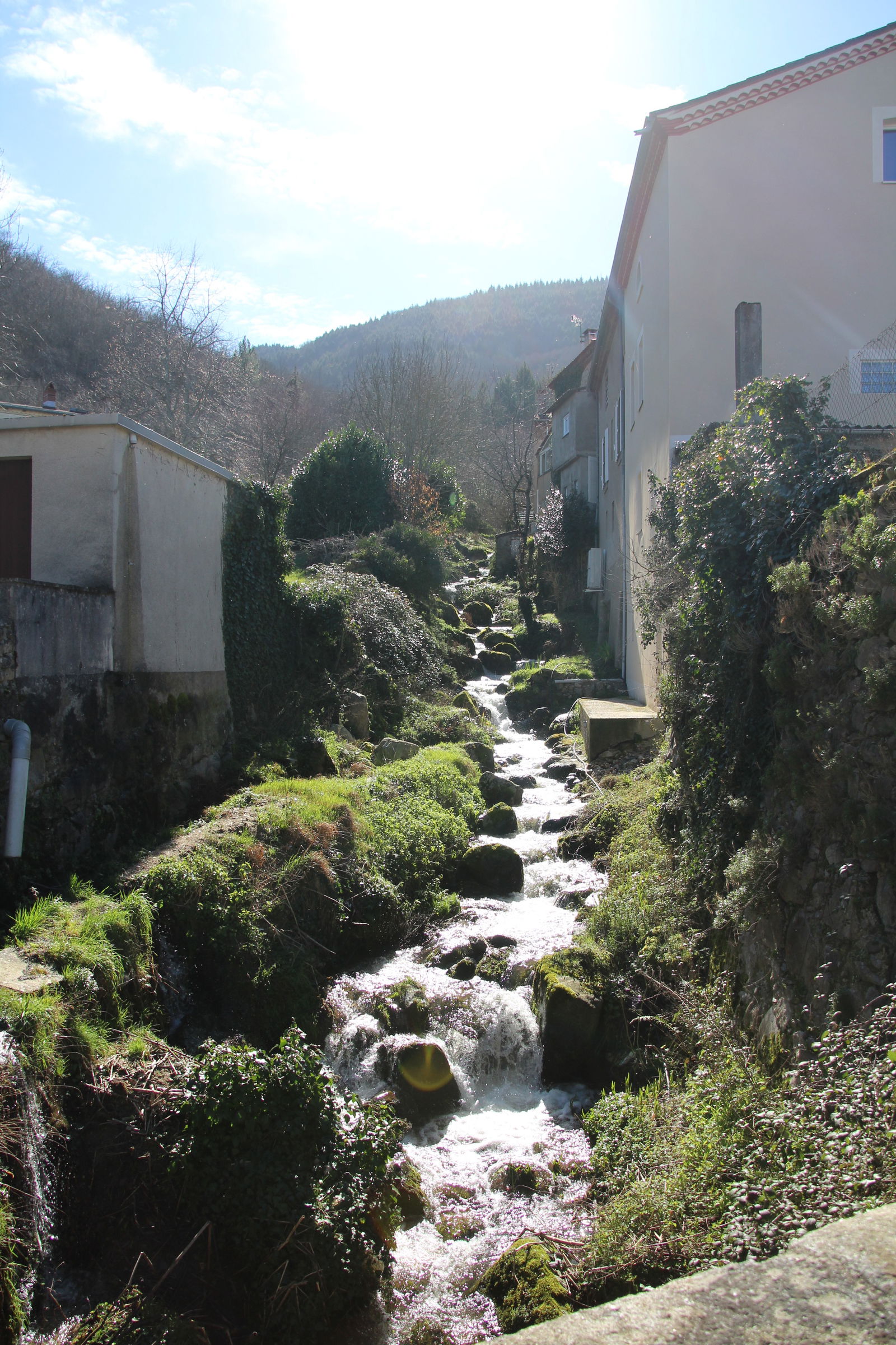 Homestay Aiguefonde 48882