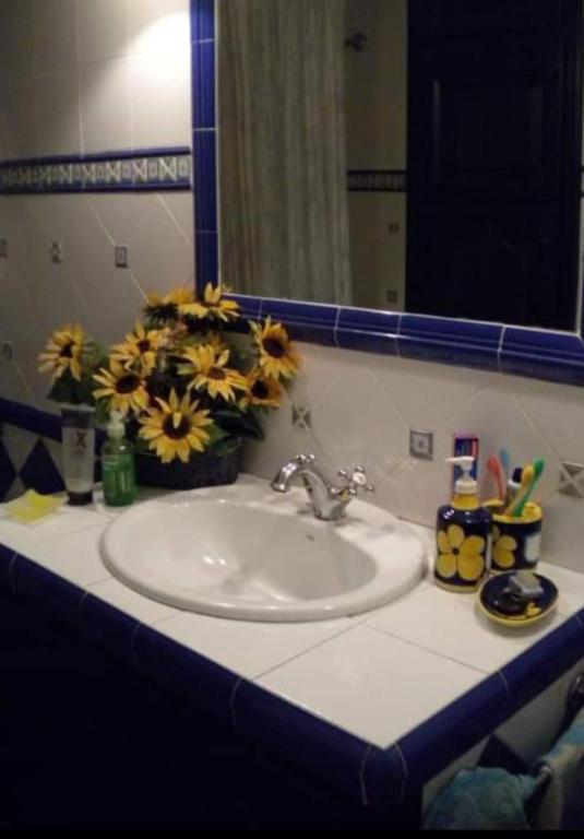 Coliving Benicàssim 488508