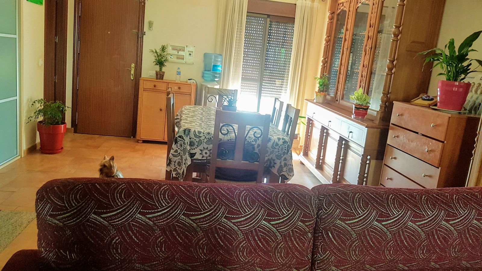 Homestay Benalmádena 211077