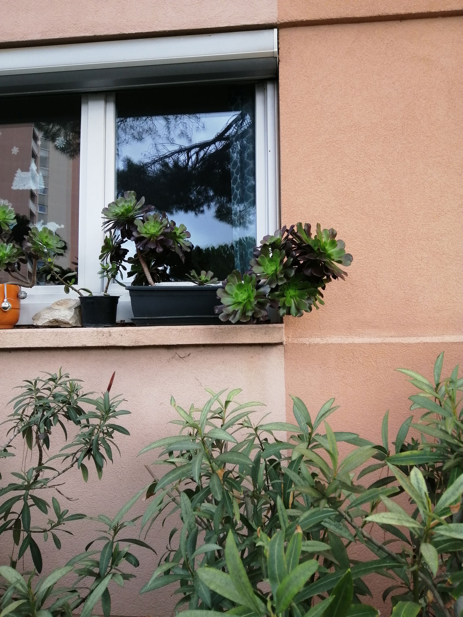 Colocation Salon-de-Provence 539930