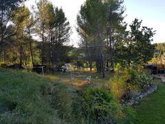 Homestay Saint-Savournin 309147-2