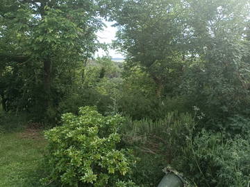 Chambre Chez L'habitant Avignonet-Lauragais 385658-4