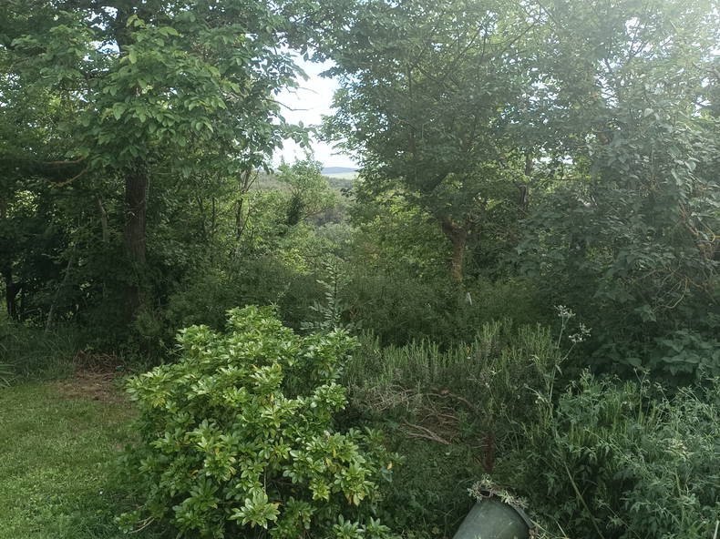 Chambre Chez L'habitant Avignonet-Lauragais 385658-4