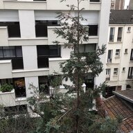 Homestay Paris 255357