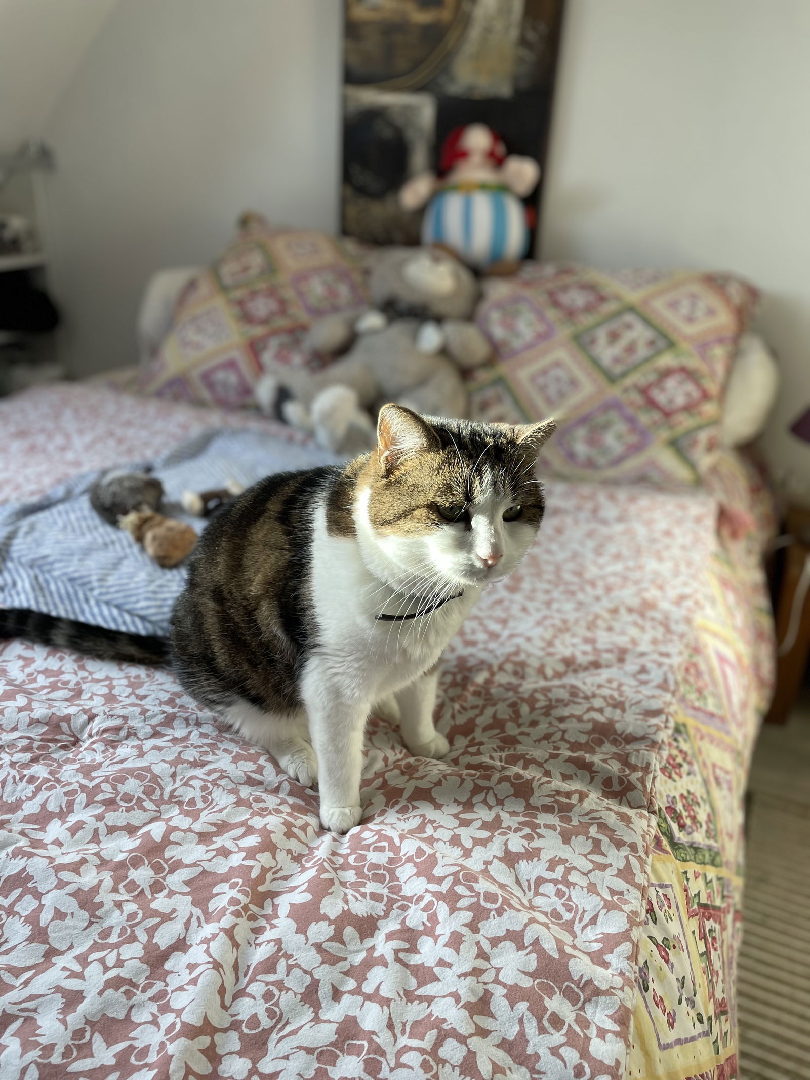 Homestay Le Coudray 264486