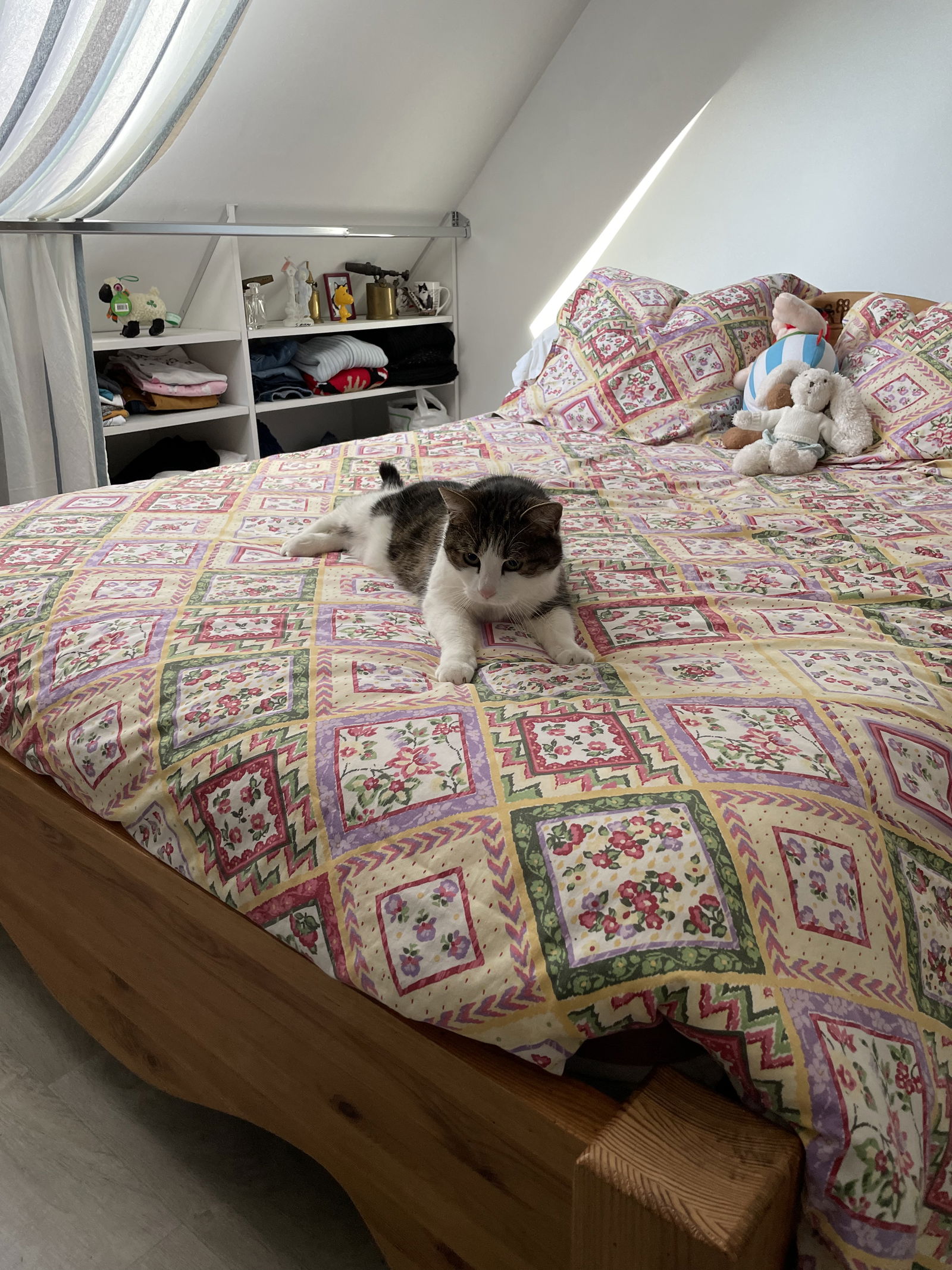 Homestay Le Coudray 264486