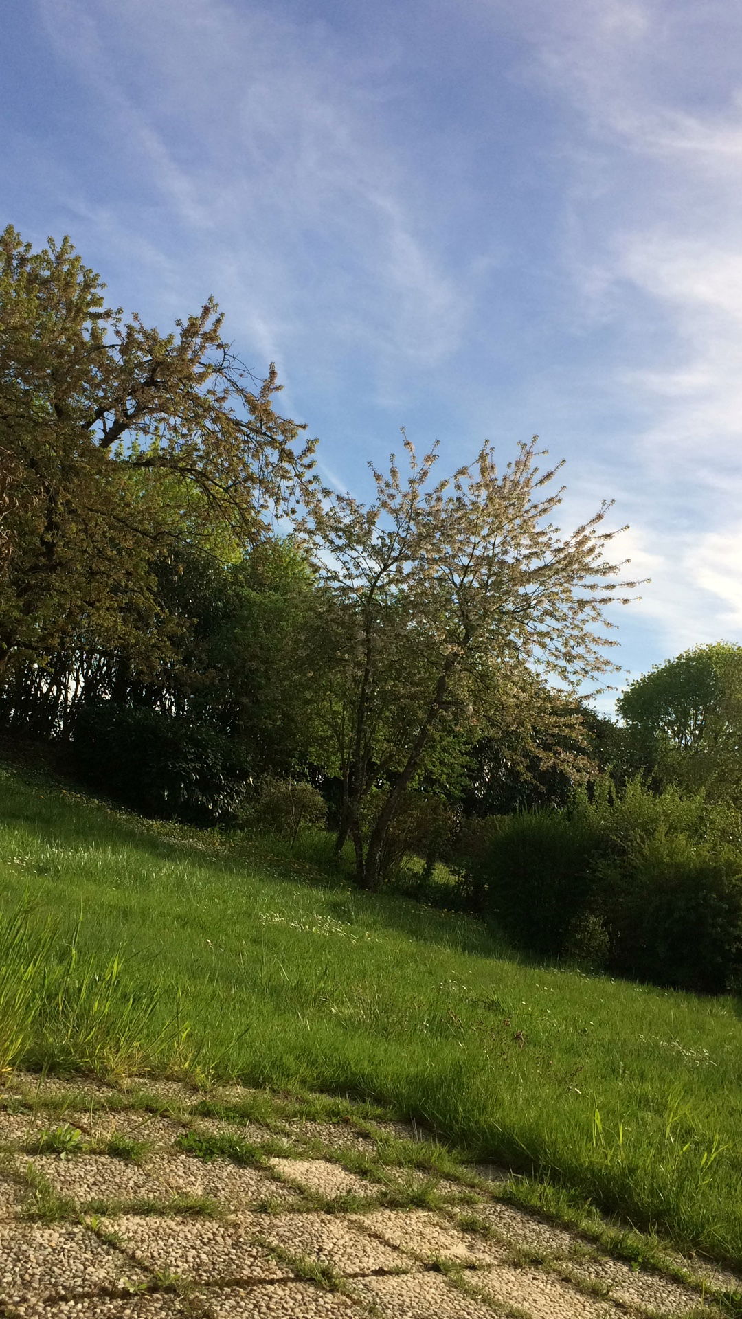 Homestay Blois 119929