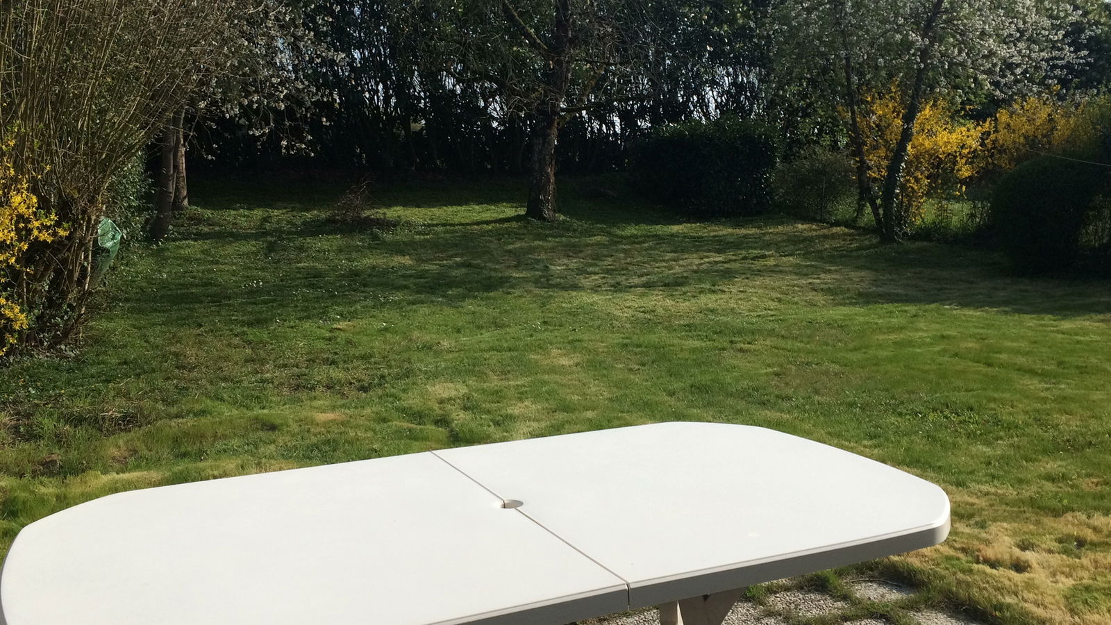 Homestay Blois 119929