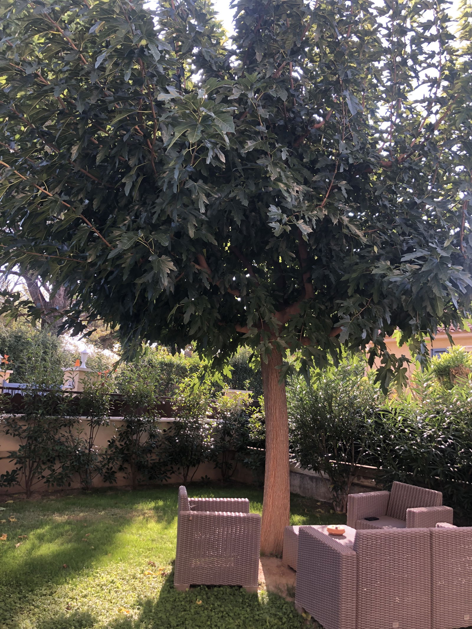 Homestay Pélissanne 257123