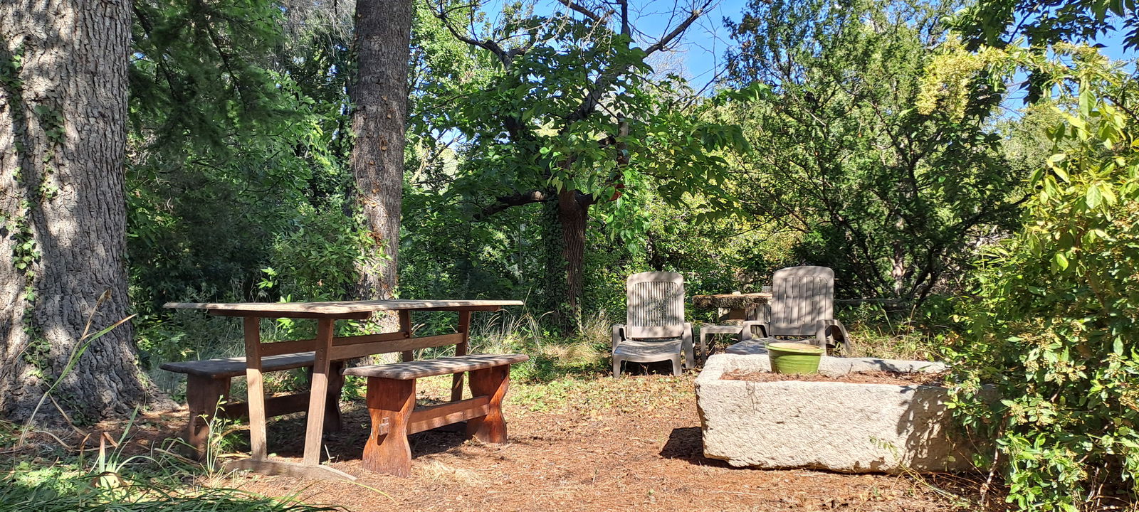 Colocation Saint-Rémy-de-Provence 659152