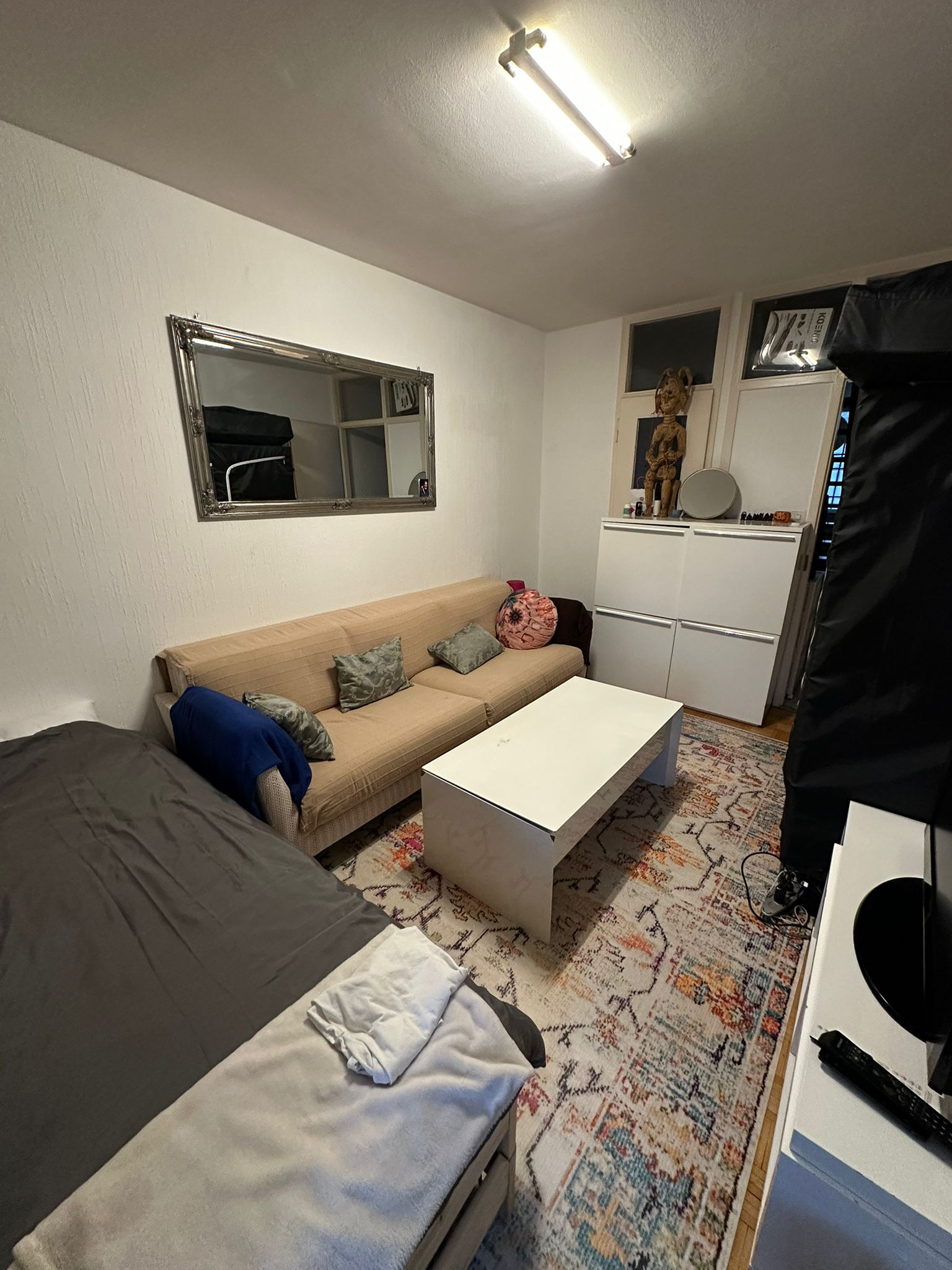 Shared Housing Carouge 233432