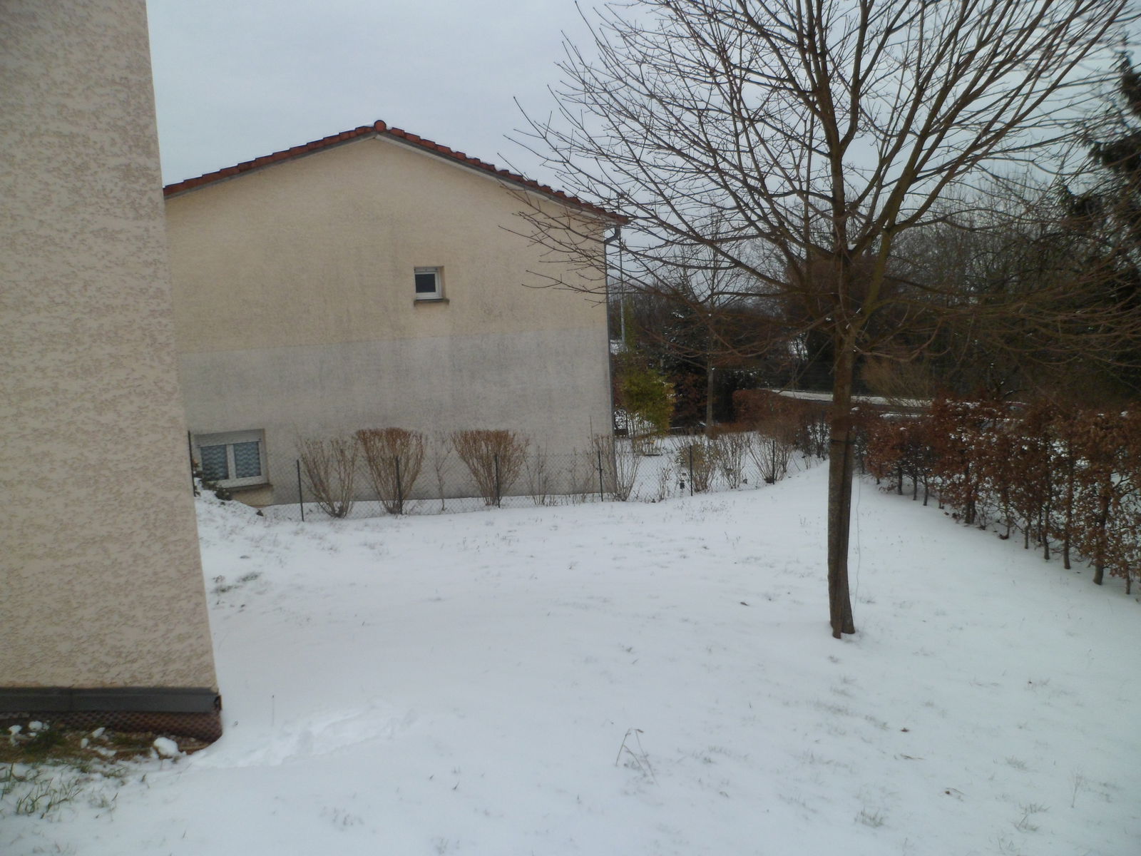 Homestay Besançon 263703