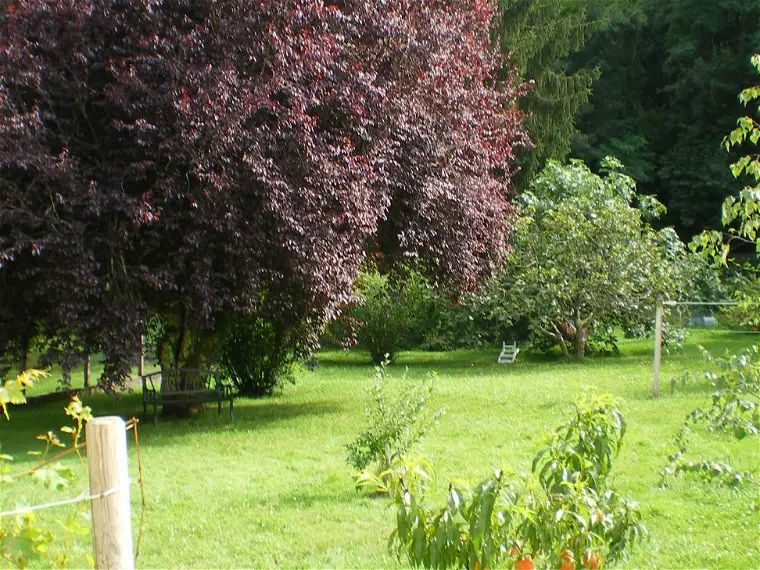 Homestay Arbus 658302