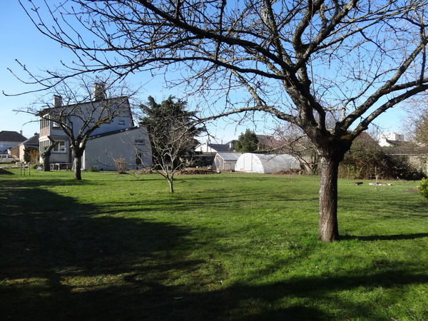 Homestay Orléans 228457