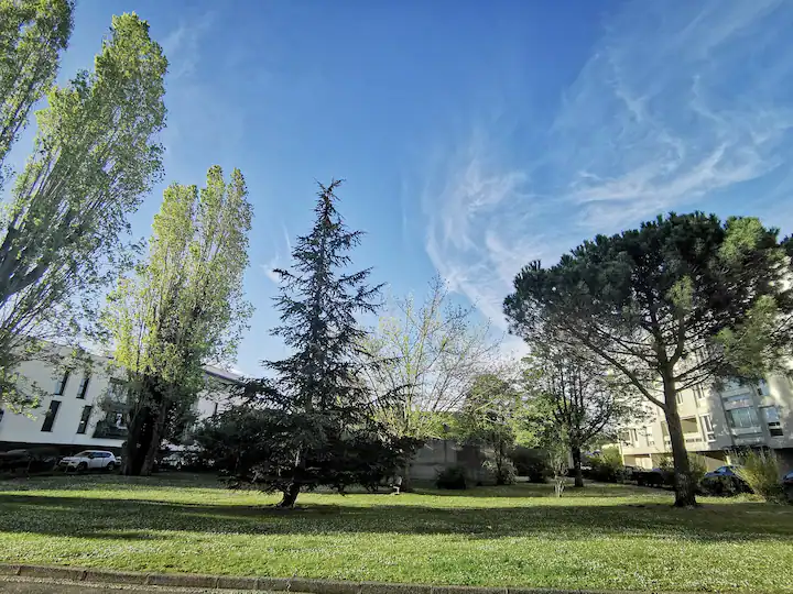 Homestay Bordeaux 304281