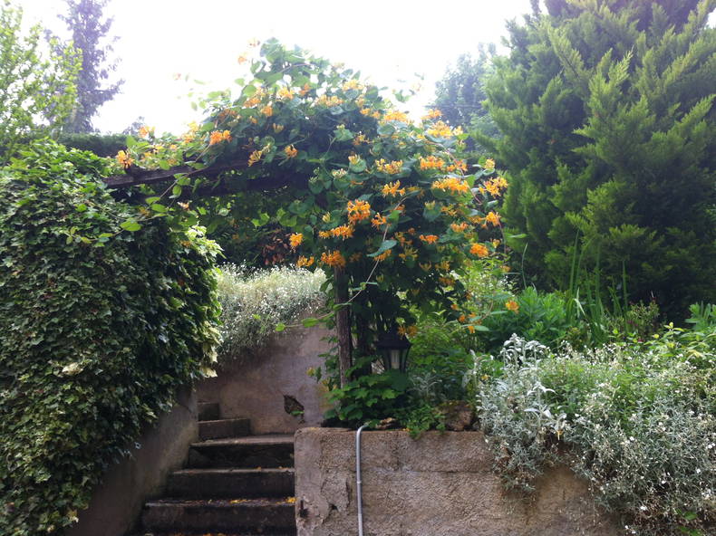 Gastfamilie Le Gué-de-Longroi 329263-5