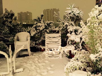 Chambre Chez L'habitant Paris 256150-4