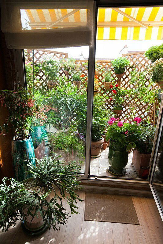 Homestay Vanves 181483