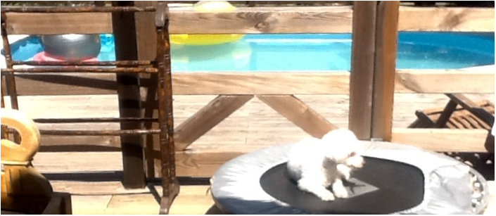 Homestay Algoz 182058