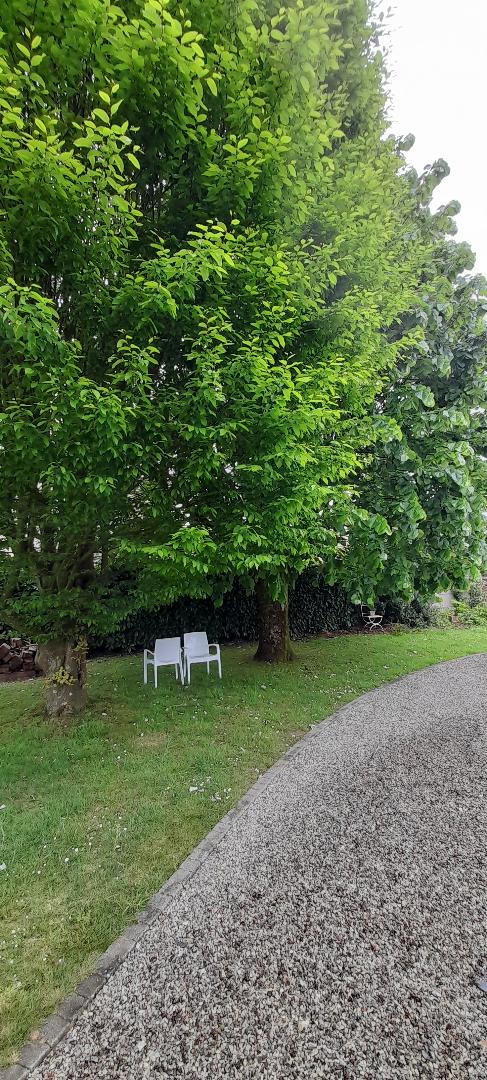 Homestay Janzé 490598